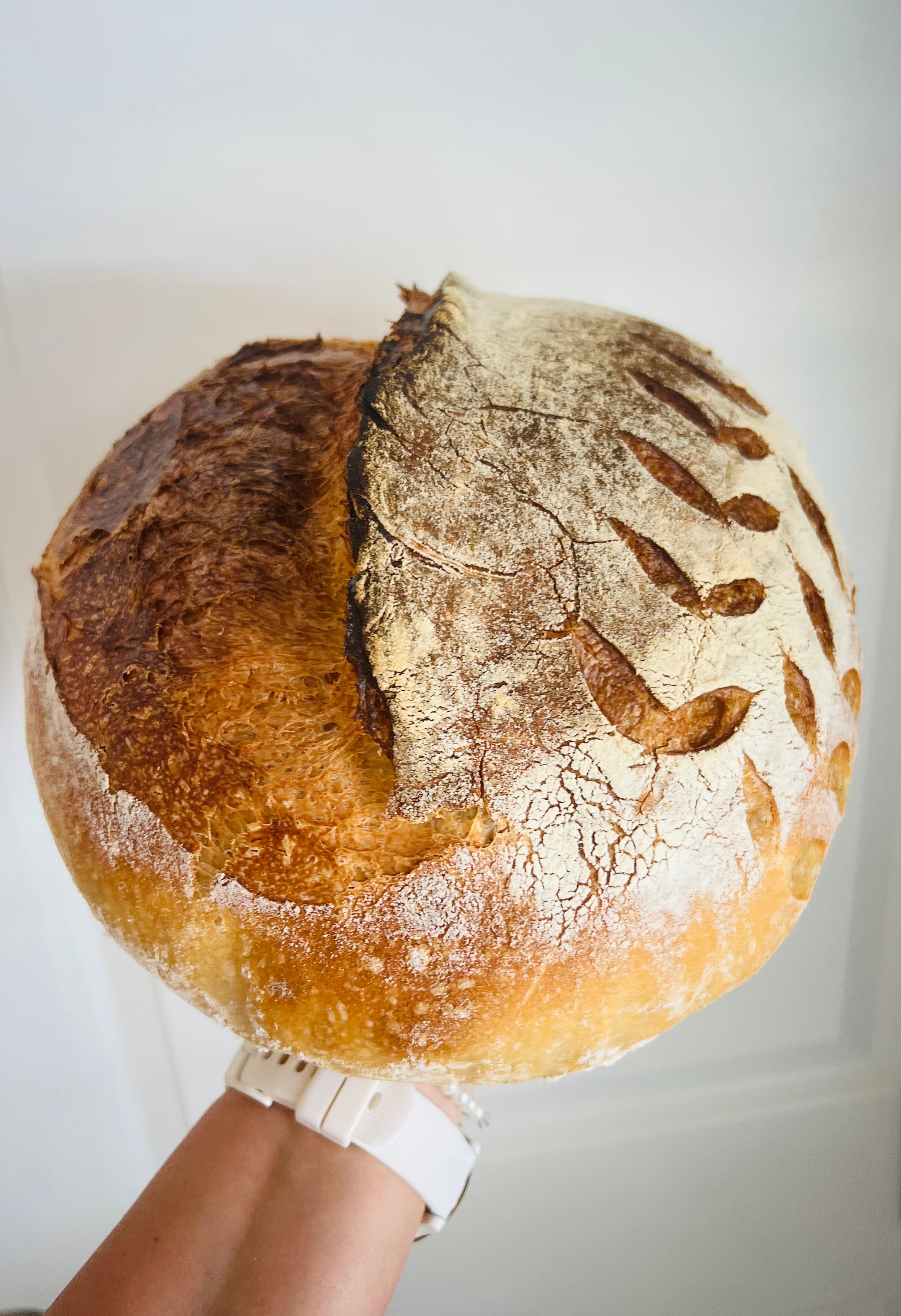Sourdough Bread